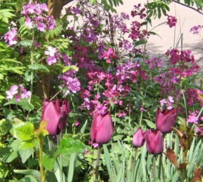 DSCF7628.JPG