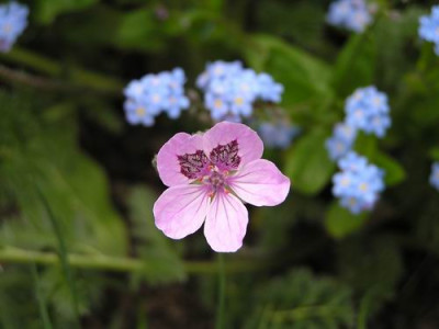 100502_3a.jpg