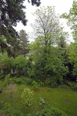 Bc-2010-05-06a.jpg