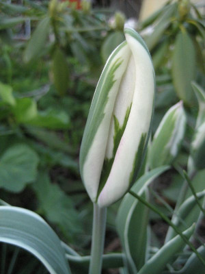 2010-05-05-1.jpg