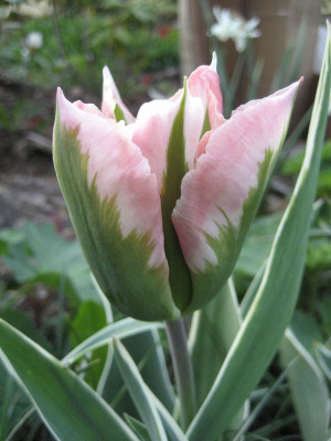 2010-05-05-2.jpg