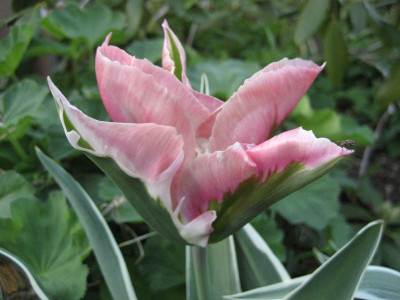 2010-05-05-3.jpg
