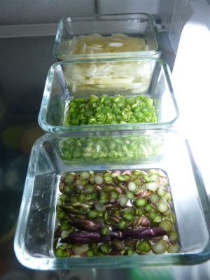 07.05.2010.00.JPG