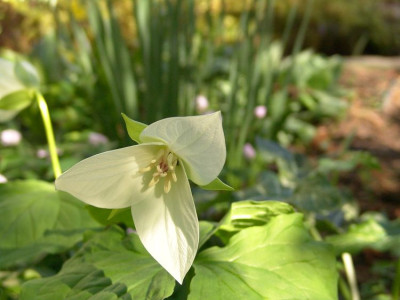 April_2009_054_GP.jpg.jpg