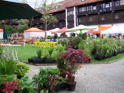100_8435.JPG