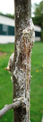 DSC01601.JPG
