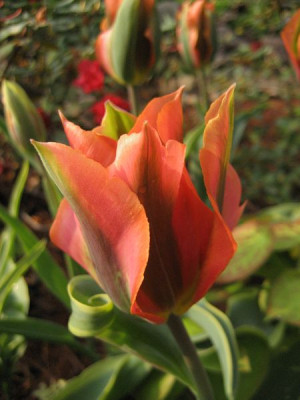2010-05-10-1.jpg