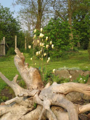 2010-05-10_yellow_river1.jpg