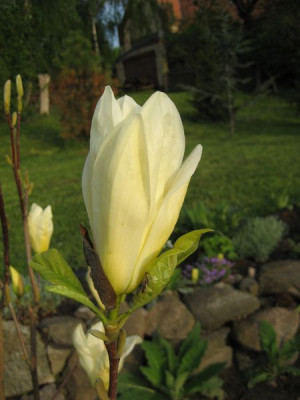 2010-05-10_yellow_river3.jpg
