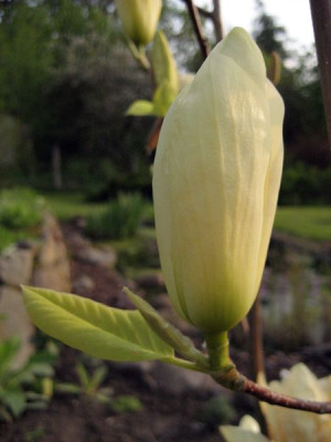 2010-05-10_yellow_river4.jpg