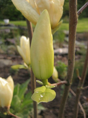 2010-05-10_yellow_river5.jpg