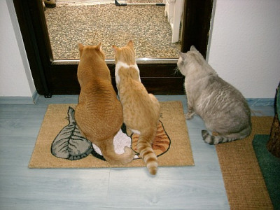wo_ist_der_eichkater_2010-05-10_225.jpg