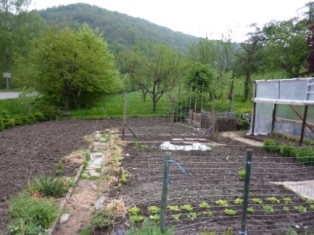 P1020729.JPG
