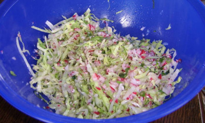 02052010--2.jpg