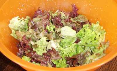 05052010--2.jpg