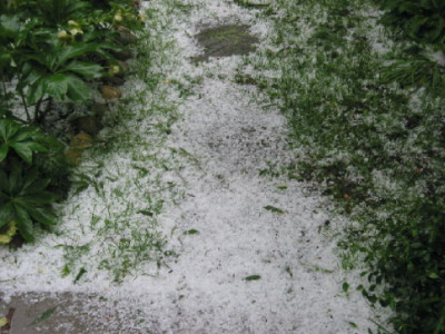Hagel_Mai_1.jpg