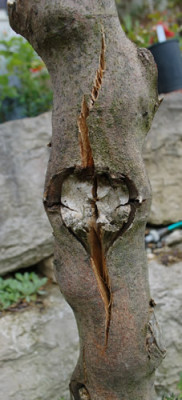 Detail_0011__4766.jpg