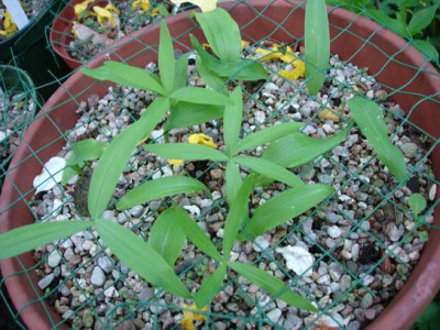 Groenanderung_Bebel__4._Mai_2010_028.jpg