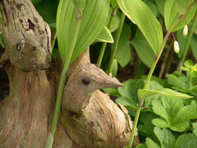 Holzvogel_2.jpg