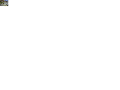 Pilsbefall.gif