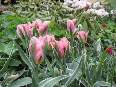 2010-05-13-2.jpg