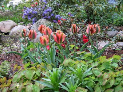 2010-05-13-1.jpg