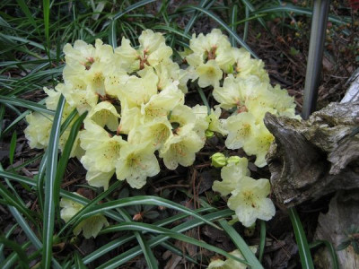 2010-05-13-3.jpg