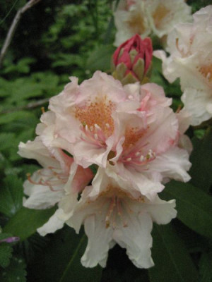 2010-05-13-02.jpg