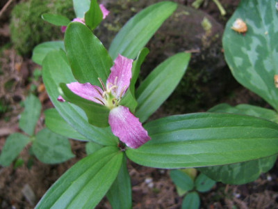 DSCF1158.JPG