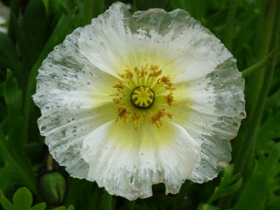 14.05.2010.70.JPG