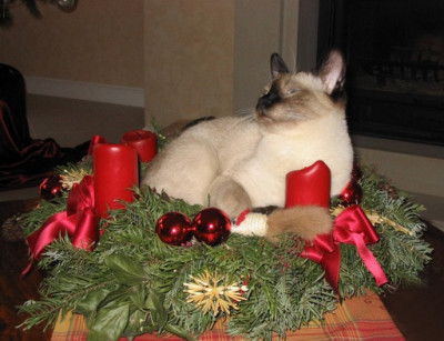 advent.jpg