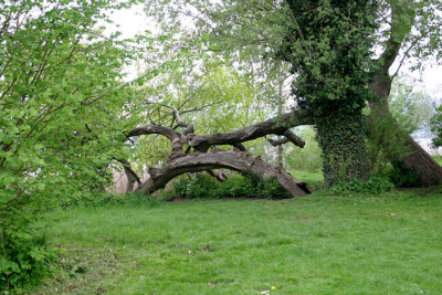 Mai2010a.jpg