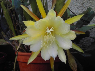 PICT3022.JPG