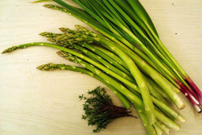ernte20100516.jpg