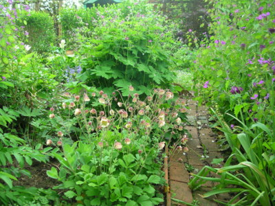 DSCN5127-1.JPG