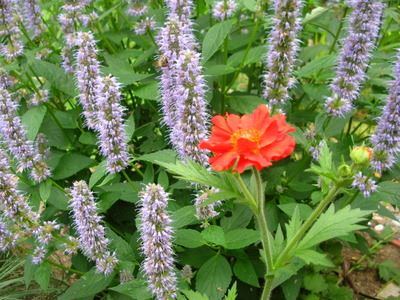 DSCN3658.JPG