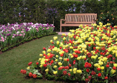 a_schaugarten_1.jpg