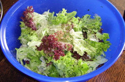 17052010--2.jpg