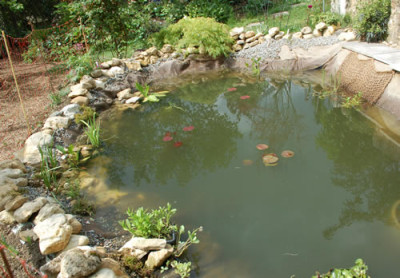 Teich_0010__65111.jpg