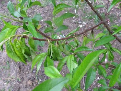 K640_IMG_1479.JPG