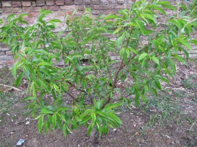 K640_IMG_1480.JPG