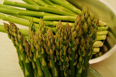ernte_20100520.jpg