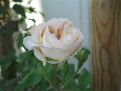 20mai2010_009_Small.jpg
