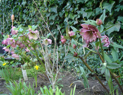 Imgp8399.jpg