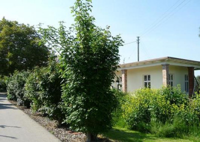WegNeuesHaus.JPG