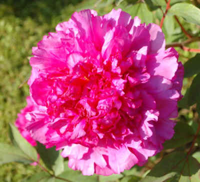 Souvenir_de_Ducher_0011__65518.jpg