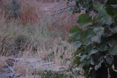 02_11_indien_1090suchbild.jpg