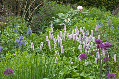 Knoeterich-Mai2310.jpg