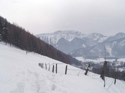 strang_kremsmauer.jpg