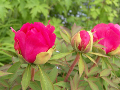 19._Mai_2010_022.jpg